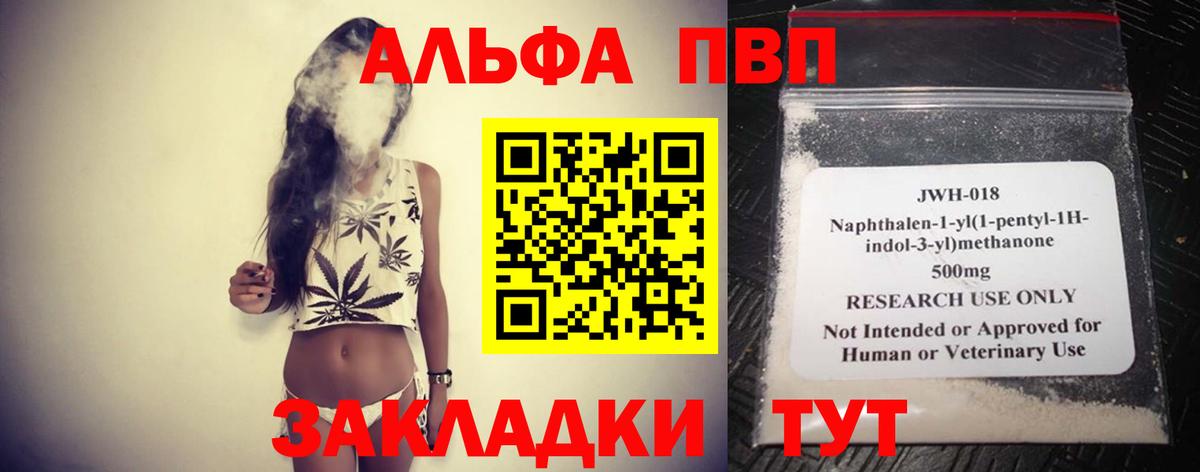 Альфа ПВП СК Прокопьевск