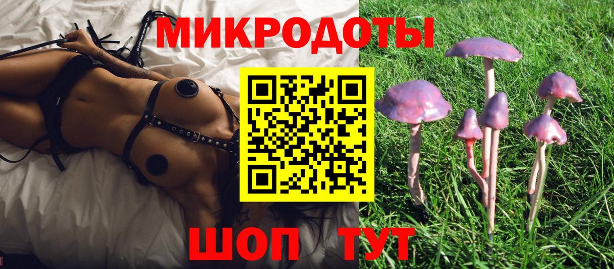 Галлюциногенные грибы мухоморы Прокопьевск